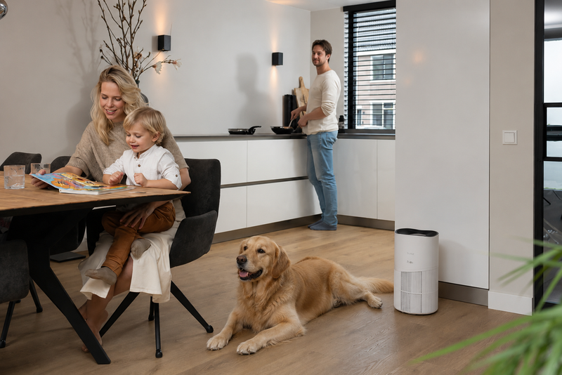 Do Air Purifiers Really Help with Pets?