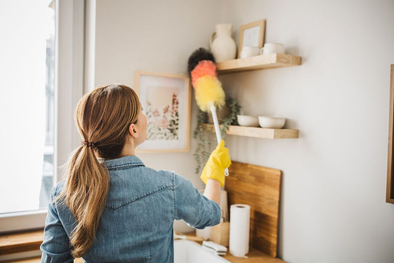 Dust & Indoor Air Quality: How Purevo Helps Create a Cleaner Home