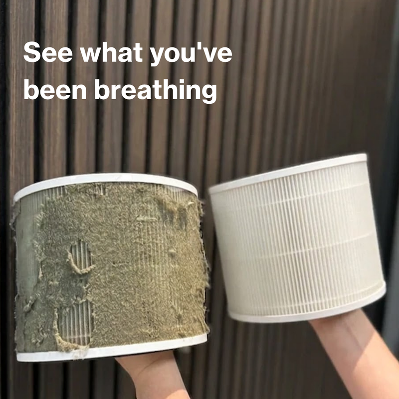 Will an Air Purifier Catch Mould Spores?